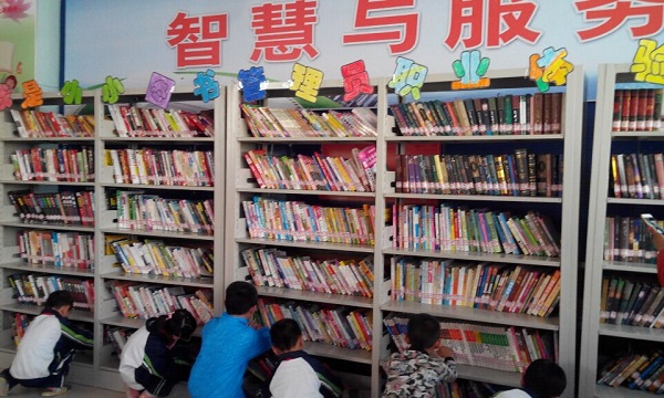 20170527132119_yb994erp8x 20170527132119_yb994erp8x.jpg?v=1765680603078