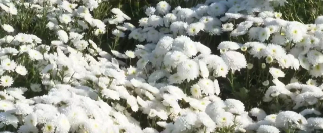 db0e8838343c6bba371147df2ba385f9 db0e8838343c6bba371147df2ba385f9.png