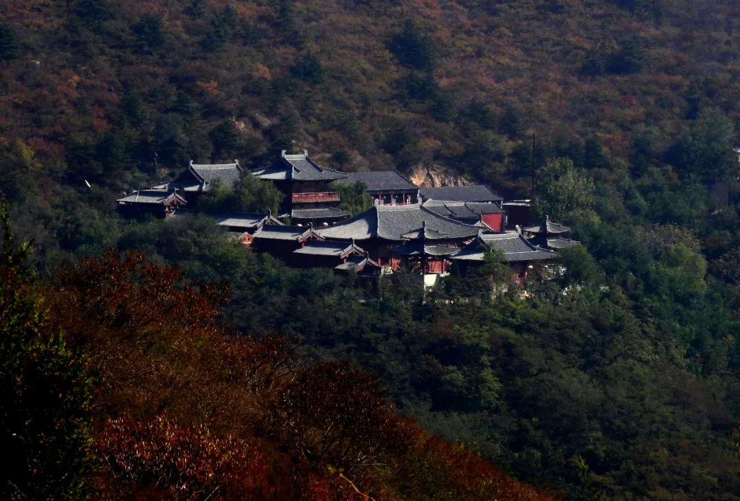 微信图片_20220804160949 - 副本