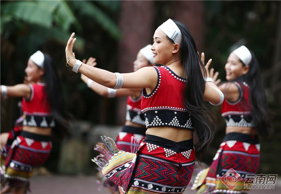 17cd6f7fccc8ac503b34862606134070 17cd6f7fccc8ac503b34862606134070.png