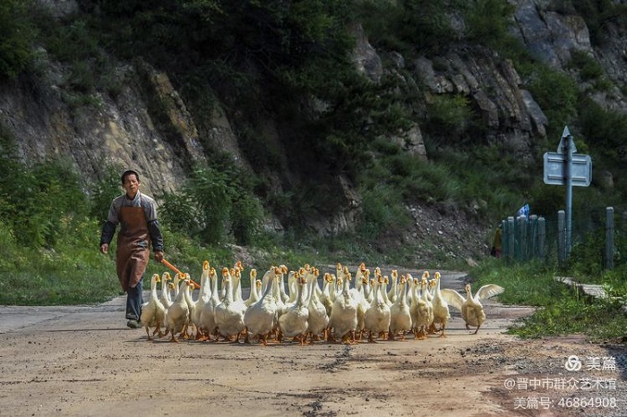 微信图片_20201016152118