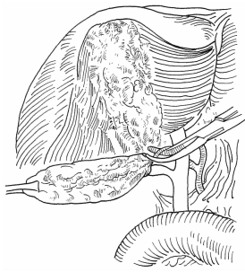 pagenumber_ebook=291,pagenumber_book=283