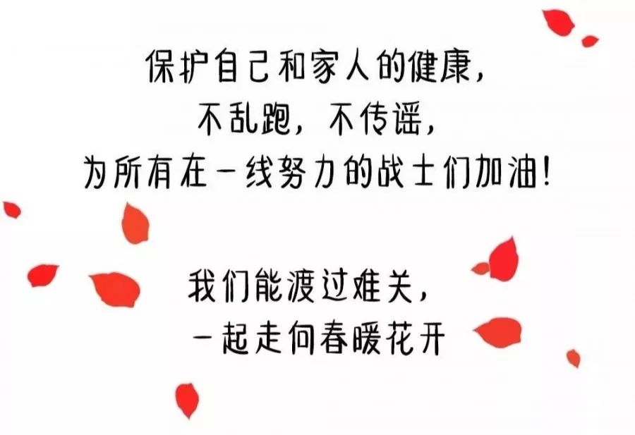 图片3 图片3.jpg?v=1766027896459