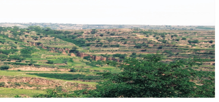 pagenumber_ebook=19,pagenumber_book=9