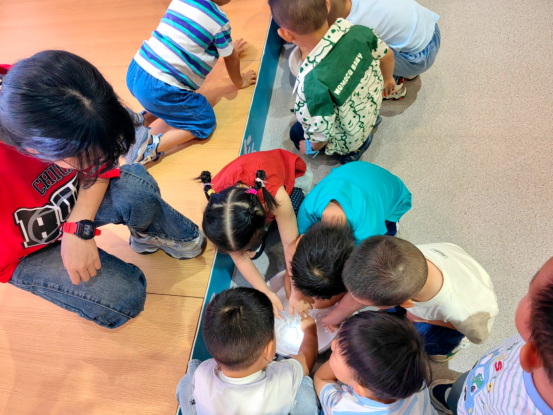 image image.png?v=1765478275141