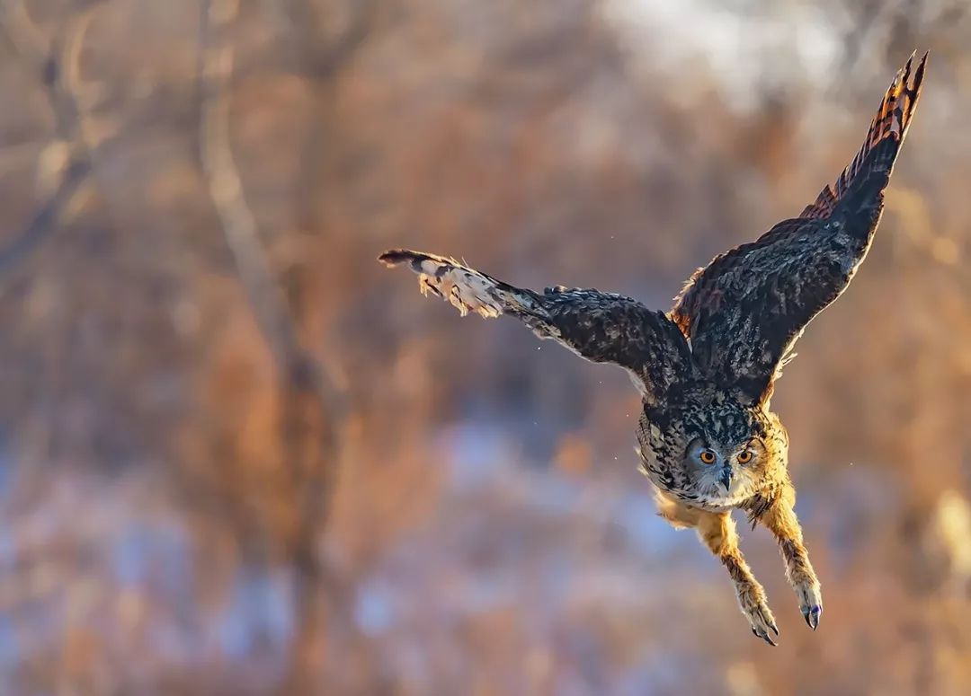 b48f413e3ec8c701e78890475d93847f b48f413e3ec8c701e78890475d93847f.jpg