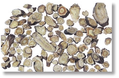 pagenumber_ebook=205,pagenumber_book=192