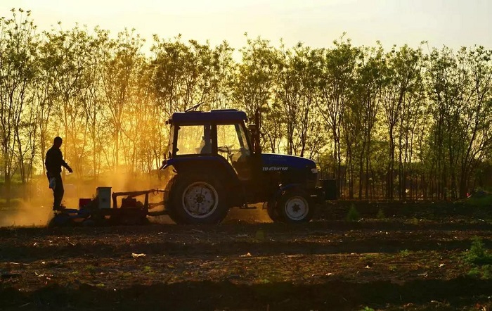《农耕》 王玉清