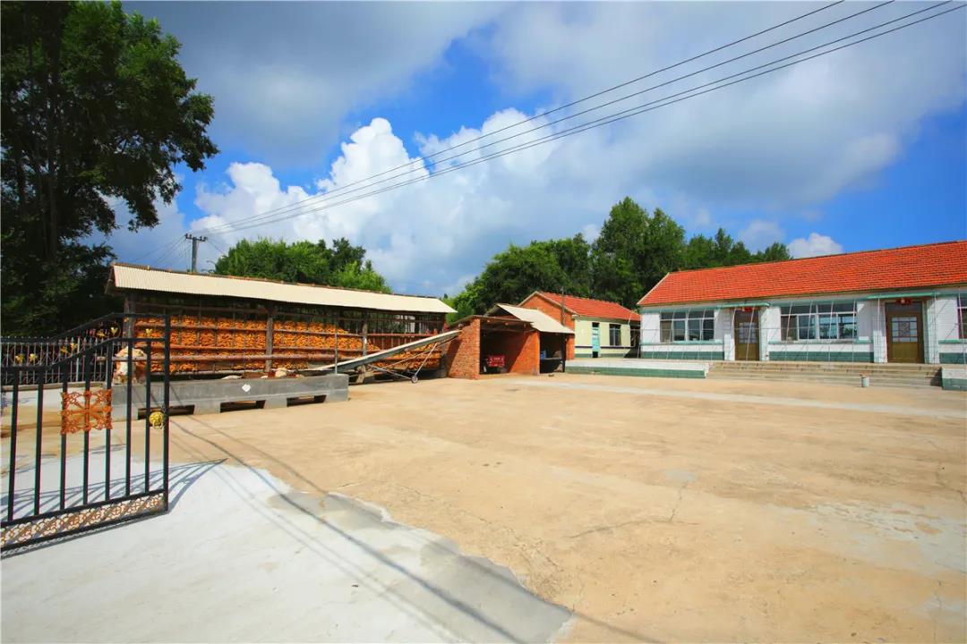 微信图片_20200819065723