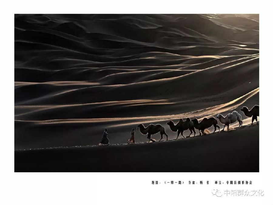 640.webp (15).jpg?v=1764880118725