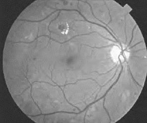 pagenumber_ebook=516,pagenumber_book=491