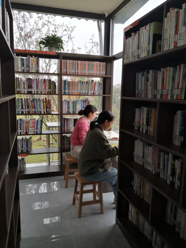 2 2.jpg?v=1765730045706