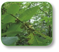 pagenumber_ebook=296,pagenumber_book=283