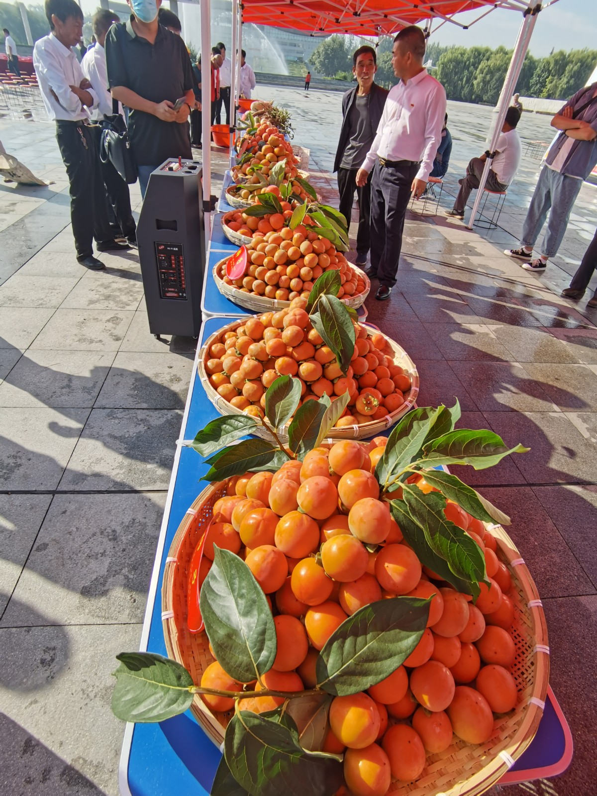 微信图片_20200917131447