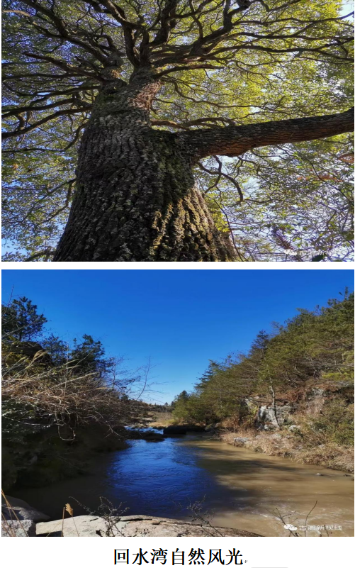 1732191932532 1732191932532.png