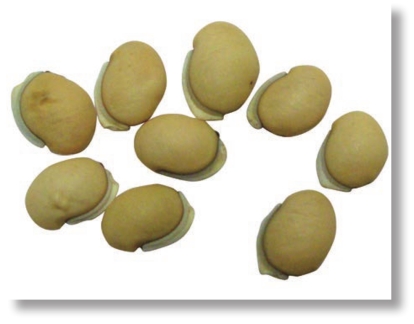 pagenumber_ebook=258,pagenumber_book=245