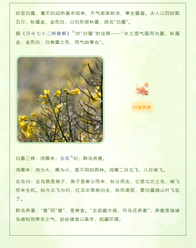 image.png?v=1757819382200