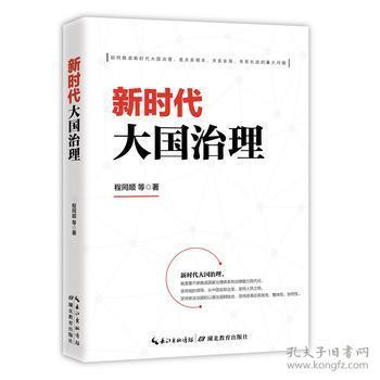 新时代 大国治理