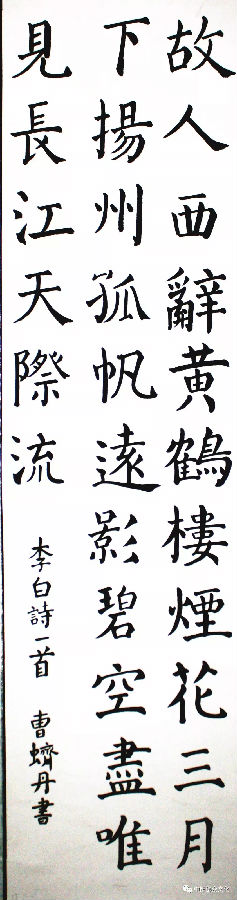 640.webp (23).jpg?v=1764880113128