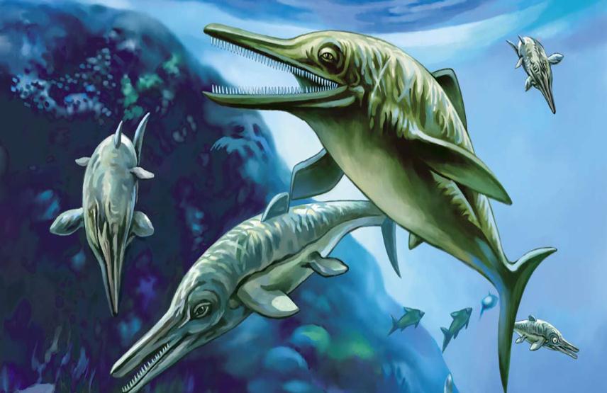 pagenumber_ebook=113,pagenumber_book=112