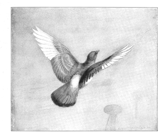 pagenumber_ebook=78,pagenumber_book=70