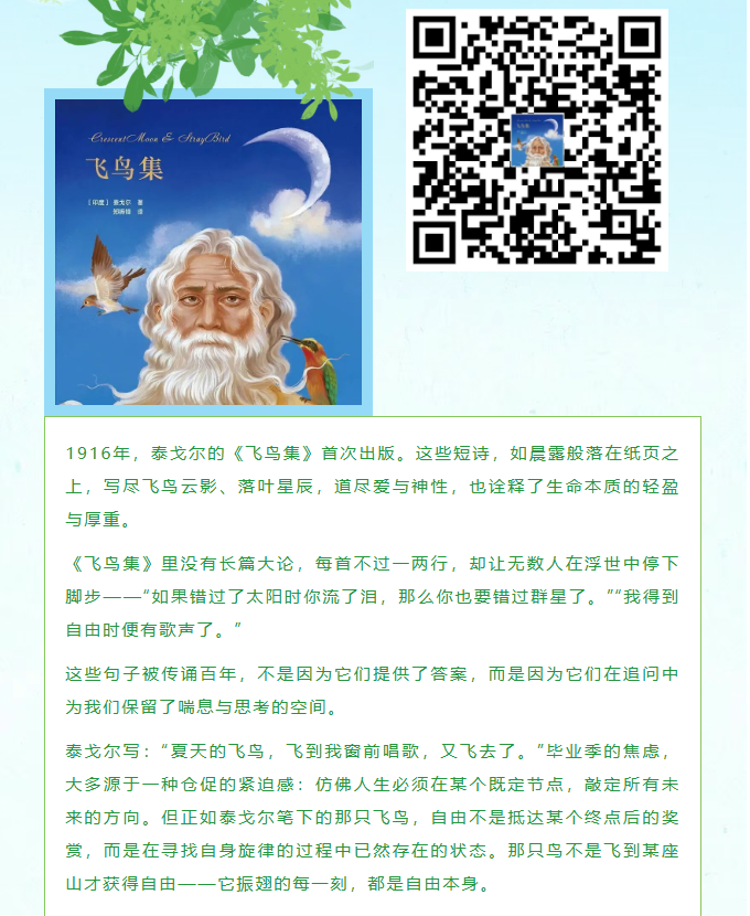 image.png?v=1785077731266