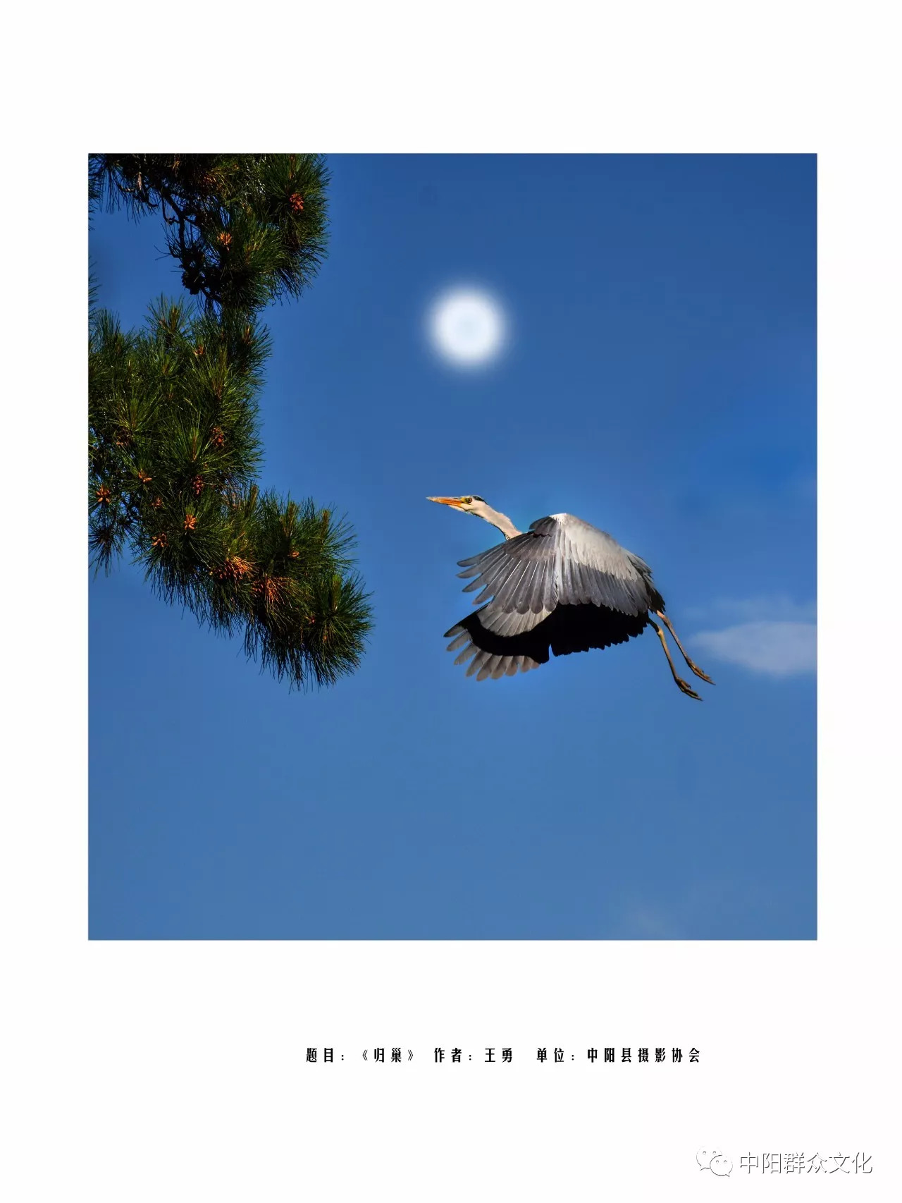 45.jpg?v=1746754211923