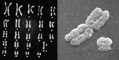 pagenumber_ebook=206,pagenumber_book=193