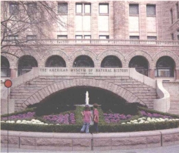 pagenumber_ebook=217,pagenumber_book=209