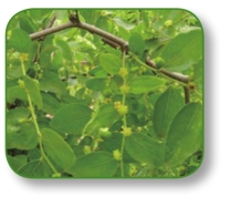 pagenumber_ebook=260,pagenumber_book=247