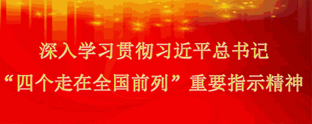 四个自信 四个自信.gif