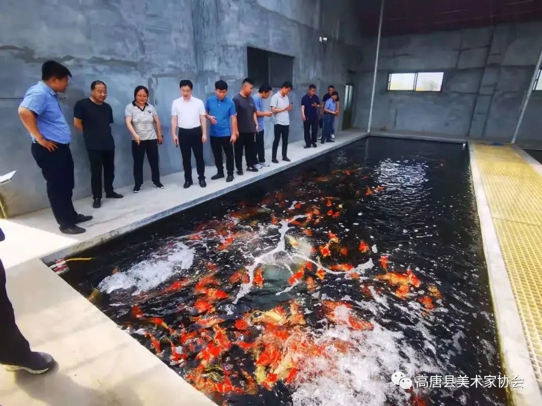 微信图片_20210607092232.jpg