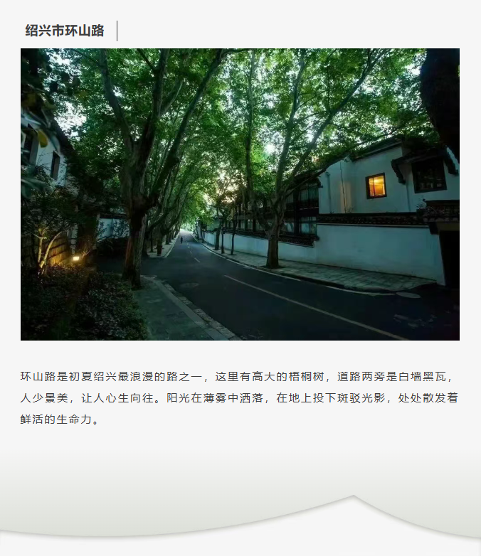 image.png?v=1766278521081