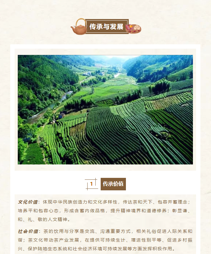 image.png?v=1751579056968