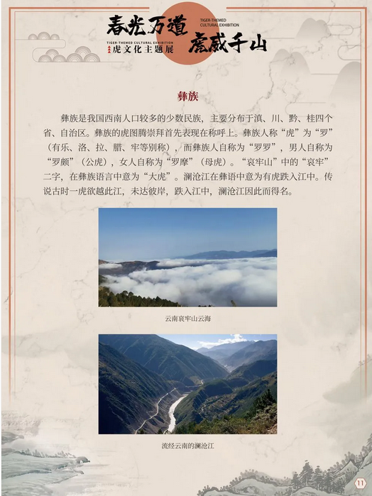 图片.png?v=1750142505724