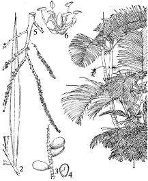 pagenumber_ebook=113,pagenumber_book=113