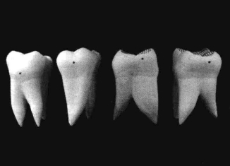 pagenumber_ebook=216,pagenumber_book=207