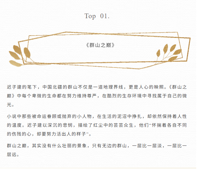 image.png?v=1766232877168