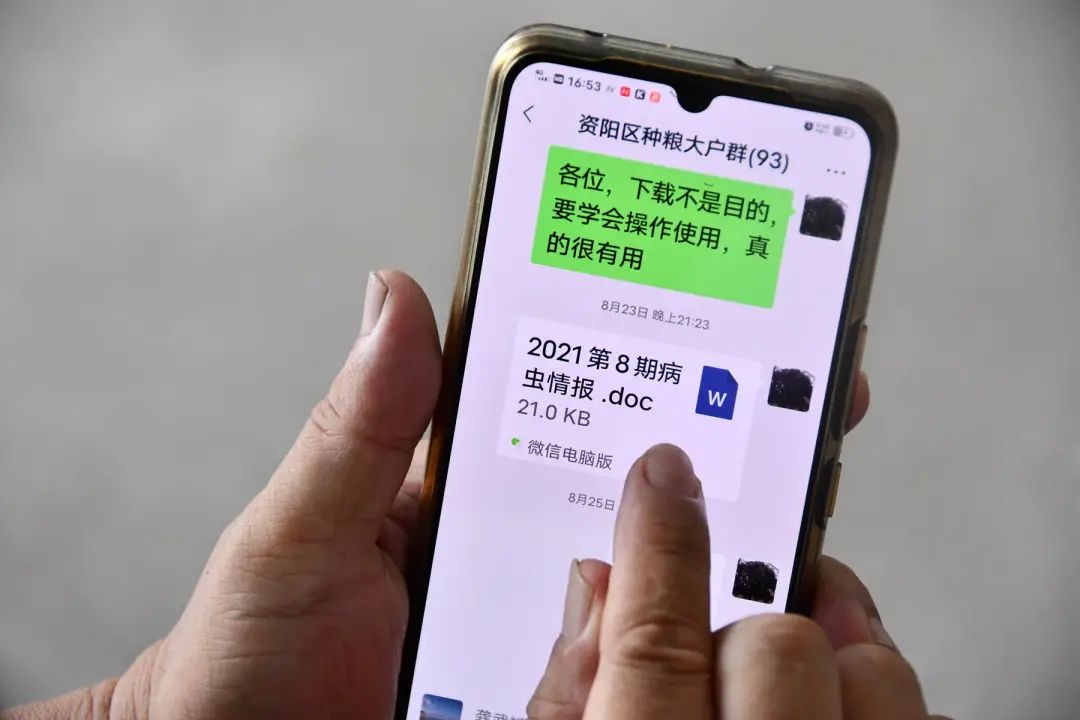 3 3.jpg?v=1765946306360