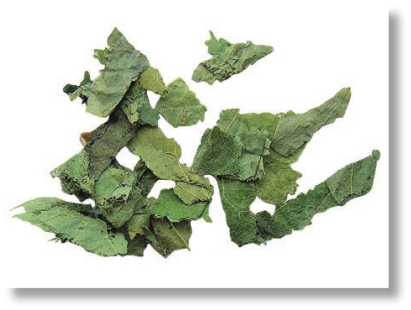 pagenumber_ebook=263,pagenumber_book=250