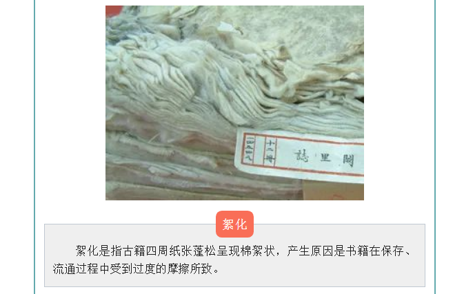 image.png?v=1754275719565