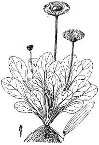 pagenumber_ebook=196,pagenumber_book=196