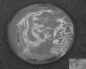 pagenumber_ebook=357,pagenumber_book=357