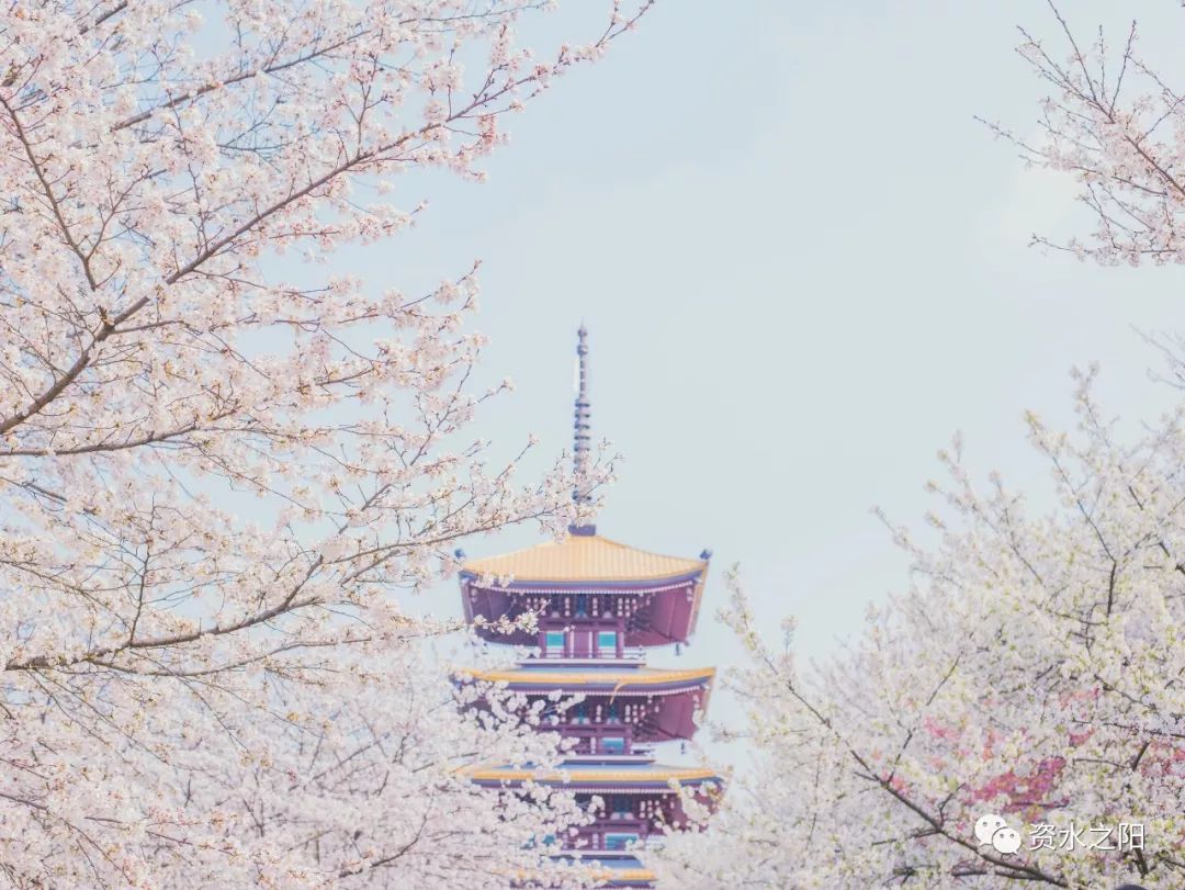 5 5.jpg?v=1765925648368