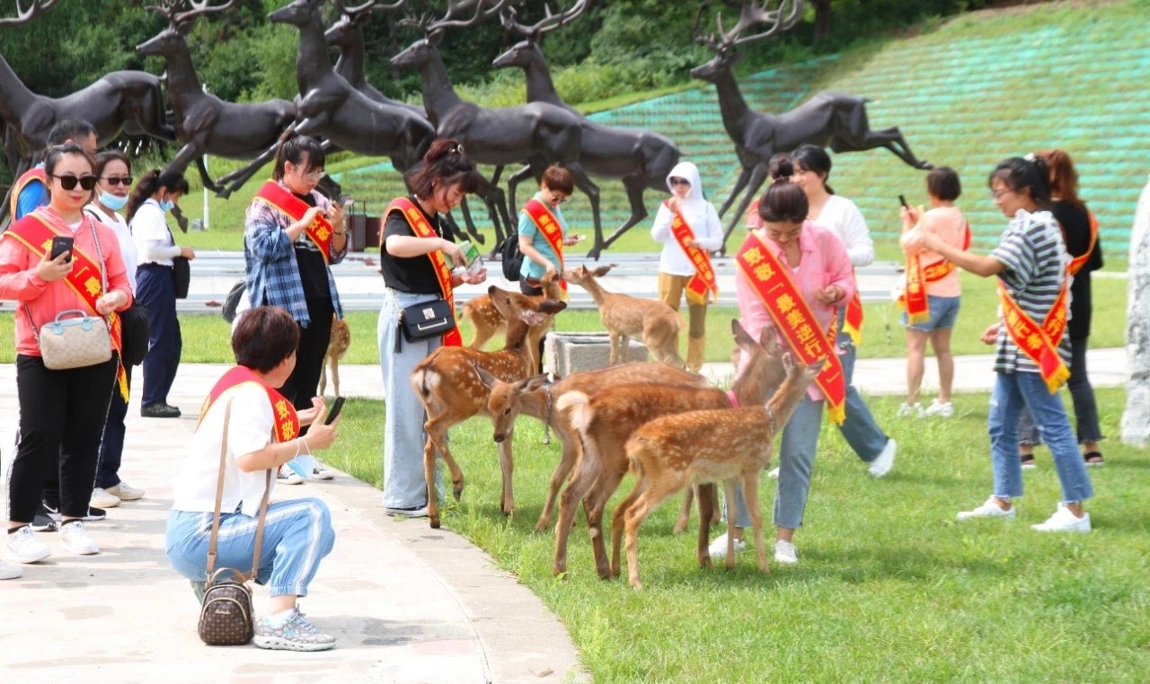 d18a39d585ffc973503d31f7f62893c