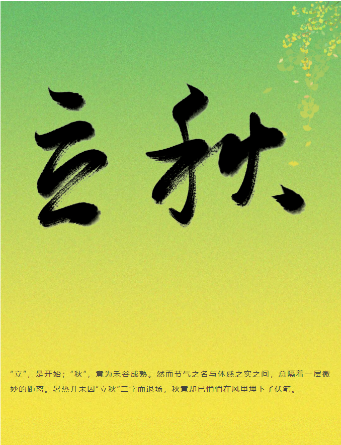 image.png?v=1786659430803
