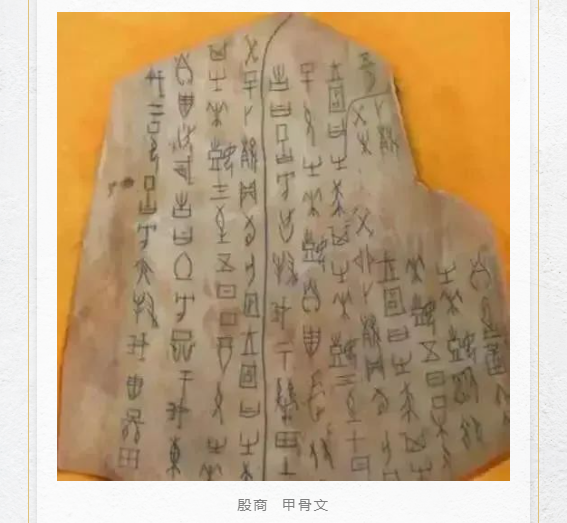 image.png?v=1750237114033