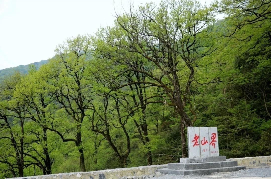 微信图片_20210902105957 微信图片_20210902105957.jpg