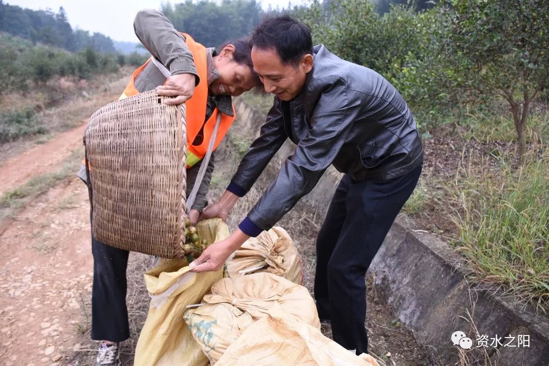 2 2.jpg?v=1765897829235