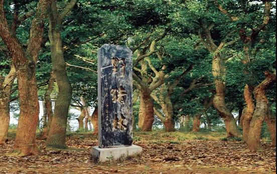 微信图片_20210225091750 微信图片_20210225091750.jpg